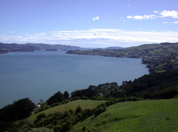 Coastline